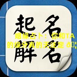 姻缘占卜：你和TA的缘分真的天注定 🦆